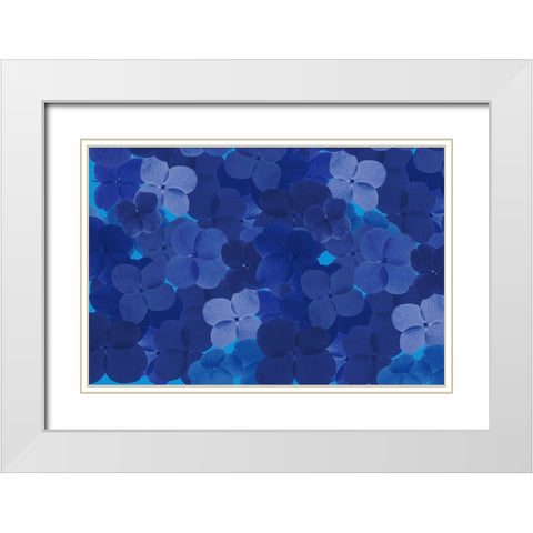 Cool Blue 9 White Modern Wood Framed Art Print with Double Matting by Art Licensing Studio
