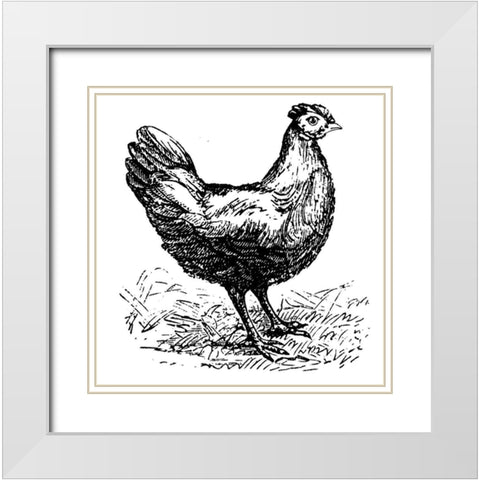 Chicken Scratch White Modern Wood Framed Art Print with Double Matting by Art Licensing Studio