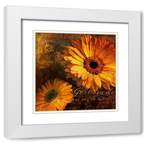 Golden Gerbera IV White Modern Wood Framed Art Print with Double Matting by Art Licensing Studio