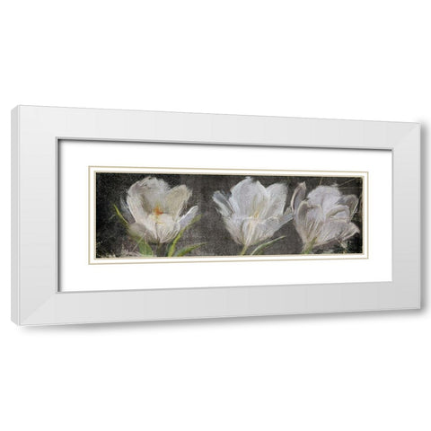 Tulip Triolet White Modern Wood Framed Art Print with Double Matting by Art Licensing Studio