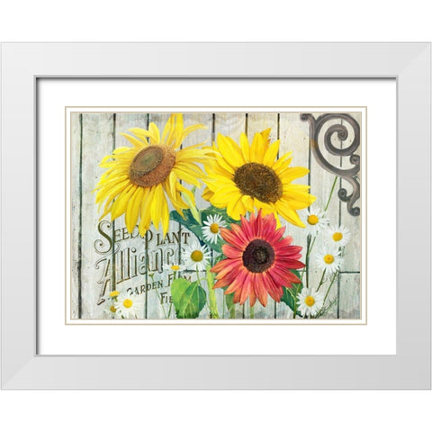 Farm Seed Sunflowers White Modern Wood Framed Art Print with Double Matting by Art Licensing Studio