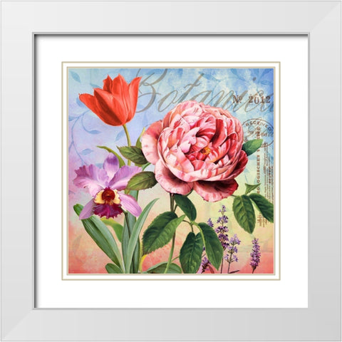 Botanique with Rose White Modern Wood Framed Art Print with Double Matting by Art Licensing Studio