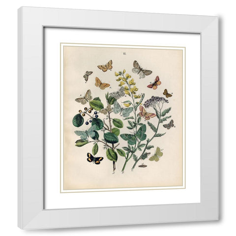 Papillion - Butterflies White Modern Wood Framed Art Print with Double Matting by Art Licensing Studio