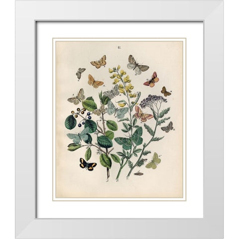 Papillion - Butterflies White Modern Wood Framed Art Print with Double Matting by Art Licensing Studio