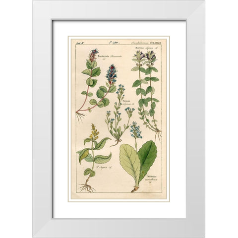 Scrophularineae White Modern Wood Framed Art Print with Double Matting by Art Licensing Studio