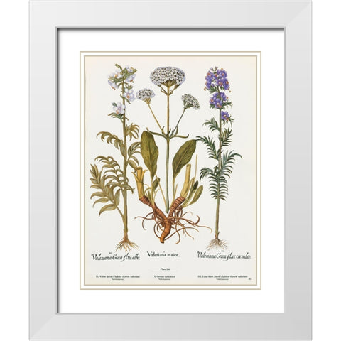 Valeriana White Modern Wood Framed Art Print with Double Matting by Art Licensing Studio