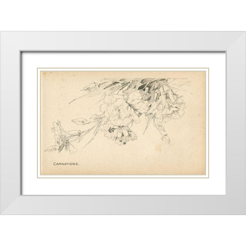 Carnations White Modern Wood Framed Art Print with Double Matting by Art Licensing Studio