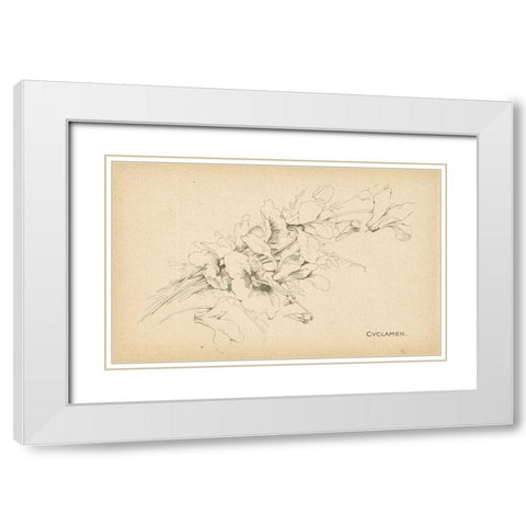 Cyclamen White Modern Wood Framed Art Print with Double Matting by Art Licensing Studio