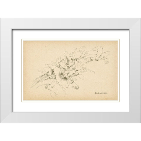 Cyclamen White Modern Wood Framed Art Print with Double Matting by Art Licensing Studio