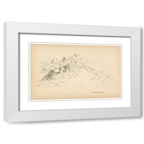 Daffodils White Modern Wood Framed Art Print with Double Matting by Art Licensing Studio