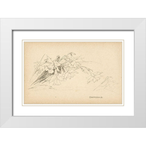 Daffodils White Modern Wood Framed Art Print with Double Matting by Art Licensing Studio