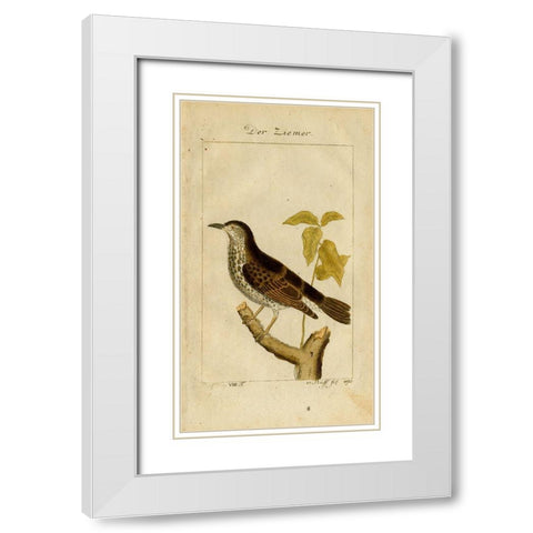 Der Ziemer White Modern Wood Framed Art Print with Double Matting by Art Licensing Studio