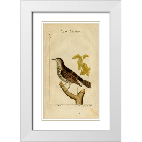 Der Ziemer White Modern Wood Framed Art Print with Double Matting by Art Licensing Studio