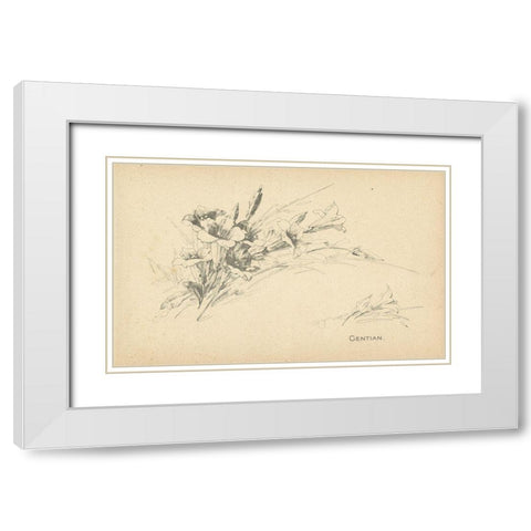 Gentian White Modern Wood Framed Art Print with Double Matting by Art Licensing Studio