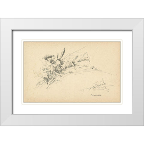 Gentian White Modern Wood Framed Art Print with Double Matting by Art Licensing Studio