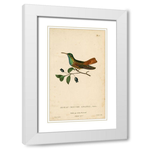 Oiseau-Mouche Amazili White Modern Wood Framed Art Print with Double Matting by Art Licensing Studio
