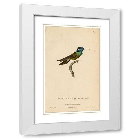 Oiseau-Mouche Arsenne White Modern Wood Framed Art Print with Double Matting by Art Licensing Studio