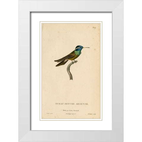 Oiseau-Mouche Arsenne White Modern Wood Framed Art Print with Double Matting by Art Licensing Studio