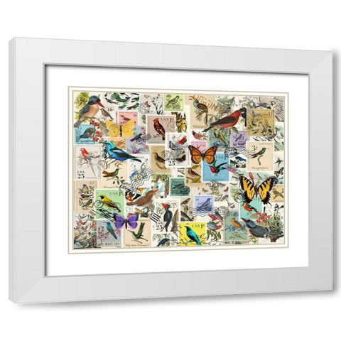 Stamp Collector - Birds and Butterflies White Modern Wood Framed Art Print with Double Matting by Art Licensing Studio