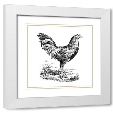 Chicken in the Yard White Modern Wood Framed Art Print with Double Matting by Art Licensing Studio