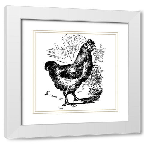 Garden Chicken White Modern Wood Framed Art Print with Double Matting by Art Licensing Studio