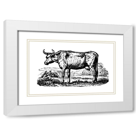Horned Cow White Modern Wood Framed Art Print with Double Matting by Art Licensing Studio