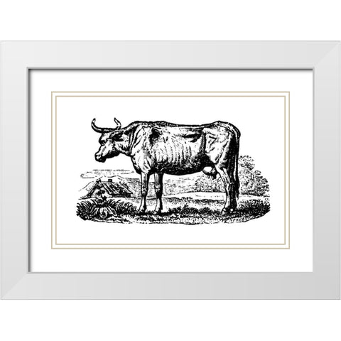 Horned Cow White Modern Wood Framed Art Print with Double Matting by Art Licensing Studio