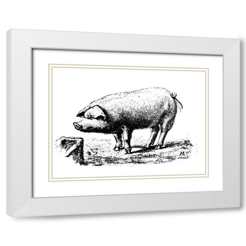 Nice Pig White Modern Wood Framed Art Print with Double Matting by Art Licensing Studio