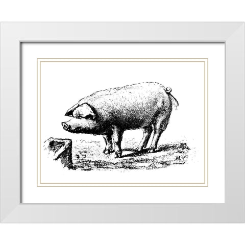 Nice Pig White Modern Wood Framed Art Print with Double Matting by Art Licensing Studio