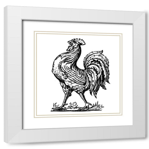 Proud Rooster White Modern Wood Framed Art Print with Double Matting by Art Licensing Studio