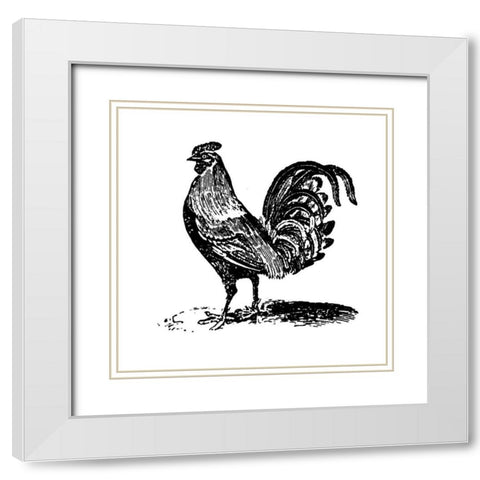 Rooster Ready White Modern Wood Framed Art Print with Double Matting by Art Licensing Studio