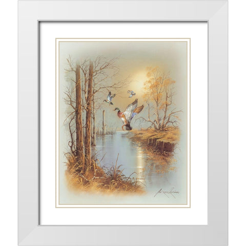 Ducks B White Modern Wood Framed Art Print with Double Matting by Orpinas, Andres