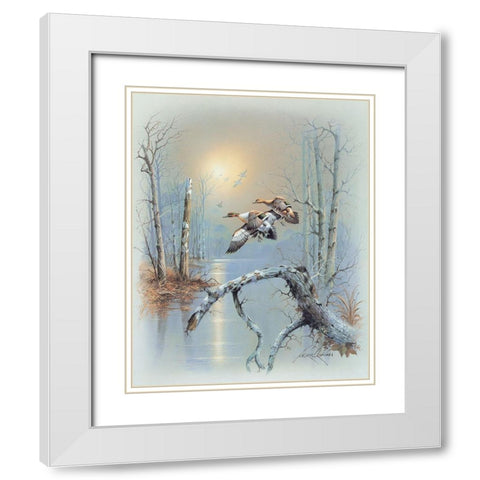 Ducks D White Modern Wood Framed Art Print with Double Matting by Orpinas, Andres