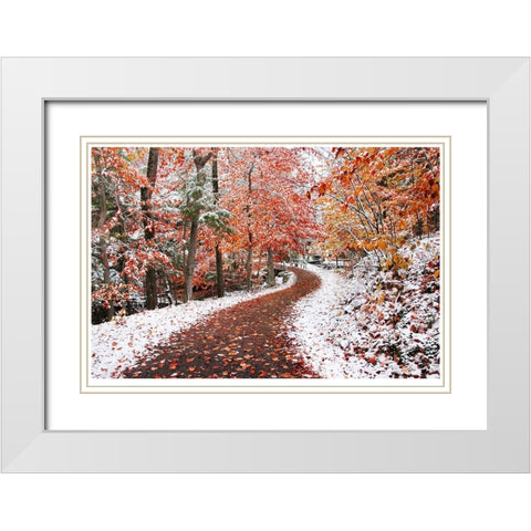 2 Seasons White Modern Wood Framed Art Print with Double Matting by Heine, Ben