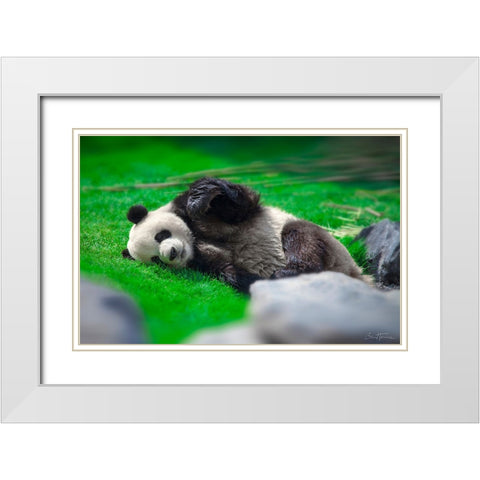 Bamboo Right in my Stomach 2 White Modern Wood Framed Art Print with Double Matting by Heine, Ben