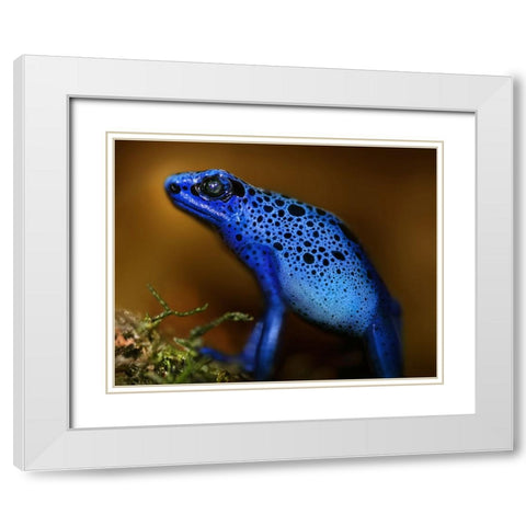 Bluetiful White Modern Wood Framed Art Print with Double Matting by Heine, Ben