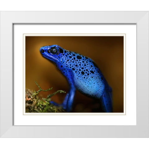Bluetiful White Modern Wood Framed Art Print with Double Matting by Heine, Ben