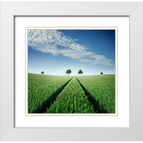 Believe In Your Destiny White Modern Wood Framed Art Print with Double Matting by Heine, Ben