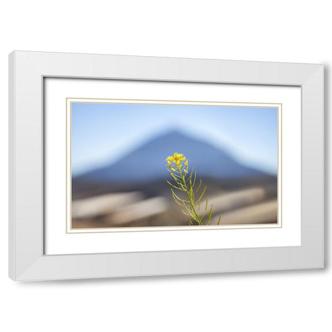El Teide White Modern Wood Framed Art Print with Double Matting by Heine, Ben