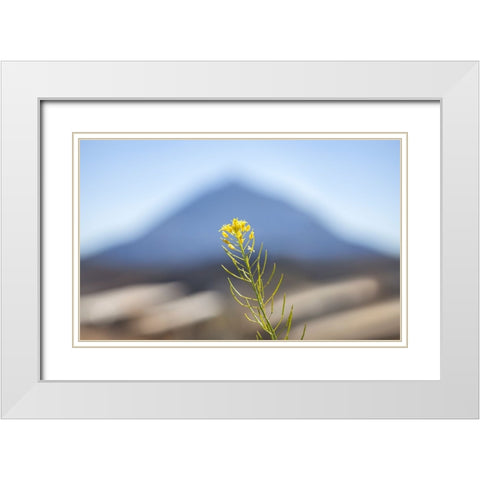 El Teide White Modern Wood Framed Art Print with Double Matting by Heine, Ben