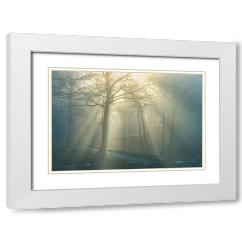 Forest Melody White Modern Wood Framed Art Print with Double Matting by Heine, Ben