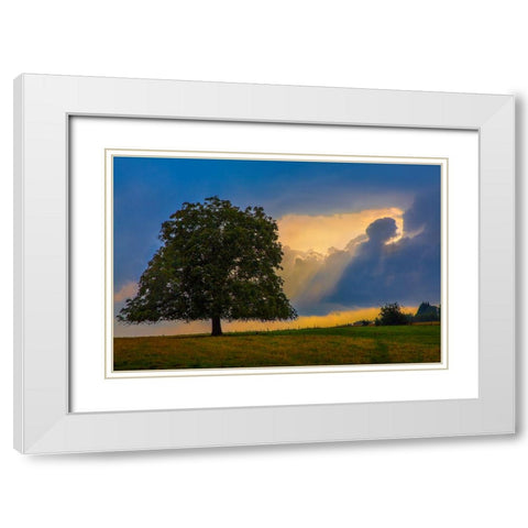 Gods Rays White Modern Wood Framed Art Print with Double Matting by Heine, Ben