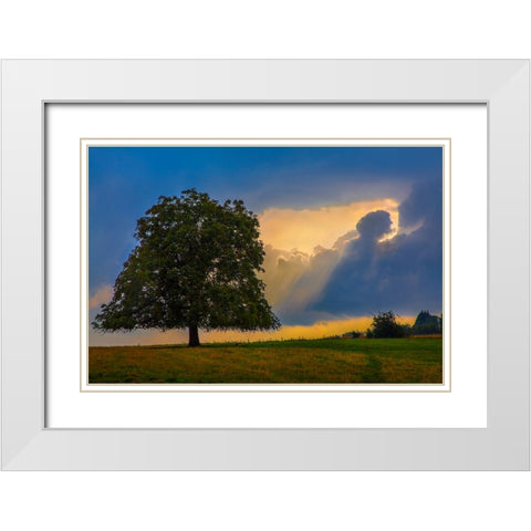 Gods Rays White Modern Wood Framed Art Print with Double Matting by Heine, Ben