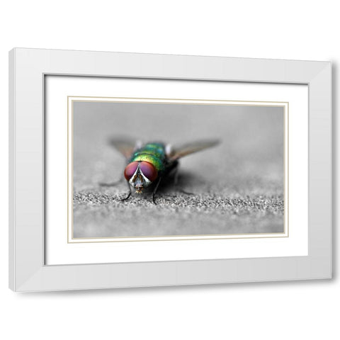 Hello White Modern Wood Framed Art Print with Double Matting by Heine, Ben