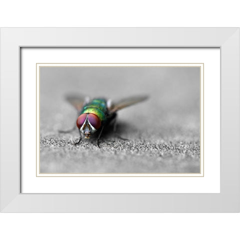 Hello White Modern Wood Framed Art Print with Double Matting by Heine, Ben