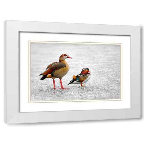 It is Freezing White Modern Wood Framed Art Print with Double Matting by Heine, Ben