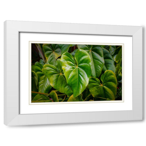 Goma 1 White Modern Wood Framed Art Print with Double Matting by Heine, Ben