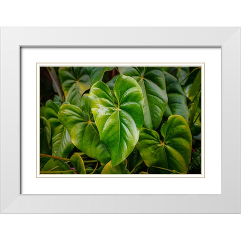 Goma 1 White Modern Wood Framed Art Print with Double Matting by Heine, Ben