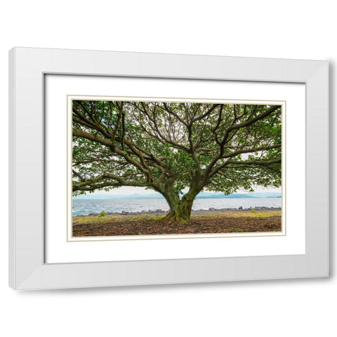 Goma 3 White Modern Wood Framed Art Print with Double Matting by Heine, Ben