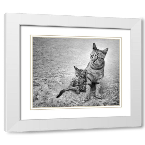 Never Leave Me Alone White Modern Wood Framed Art Print with Double Matting by Heine, Ben